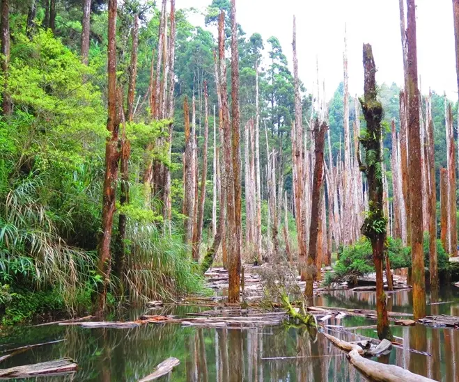 台灣一個人旅行