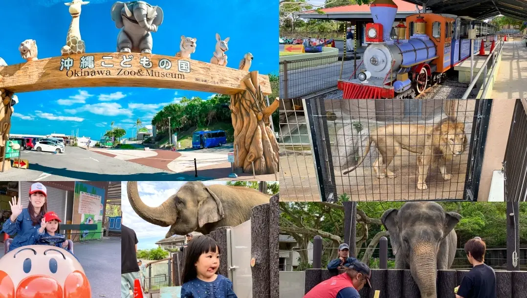 沖繩新景點推薦：不再只是水族館，親子與文青必訪三大去處
