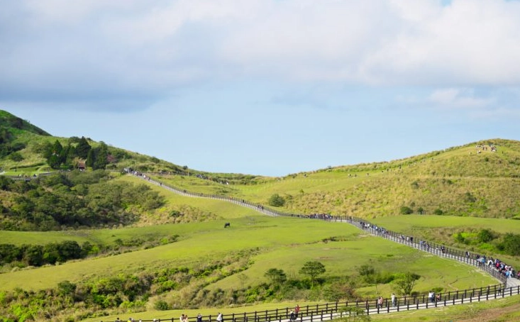 台北自駕一日遊路線規劃：避開塞車、必訪景點與停車攻略