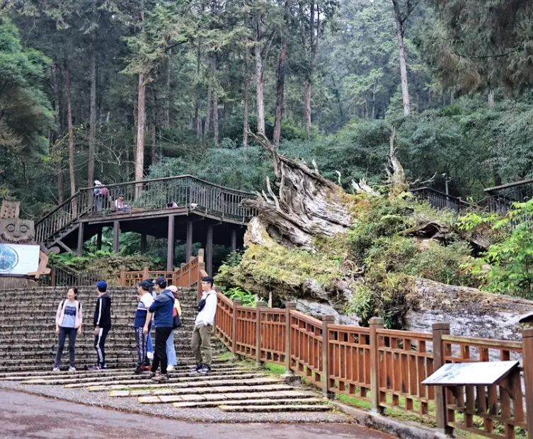 三峽小溪頭步道攻略：交通、路線與秘境探訪