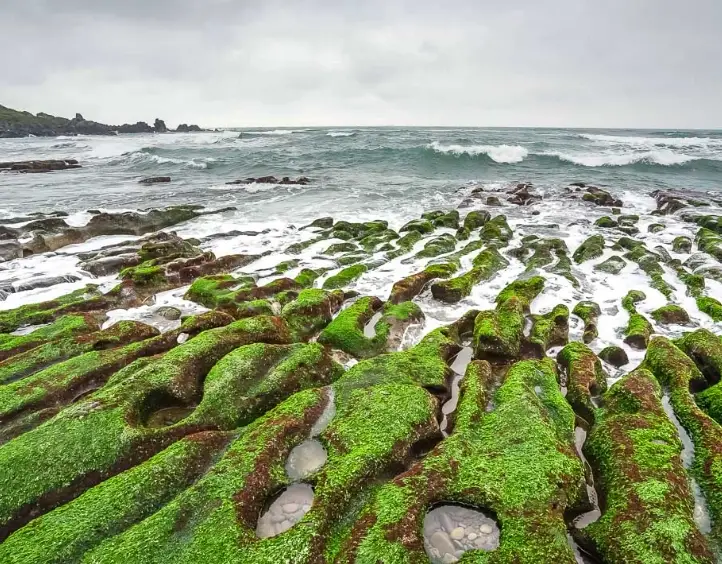 台灣一個人旅行
