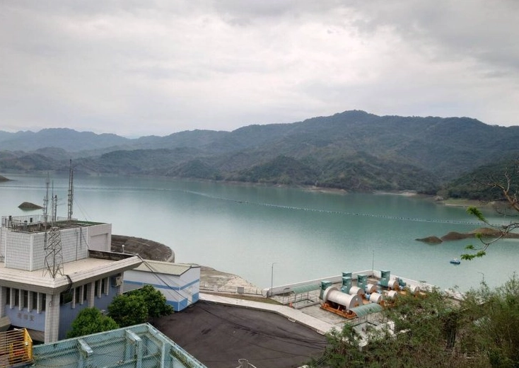 落羽松拍照技巧