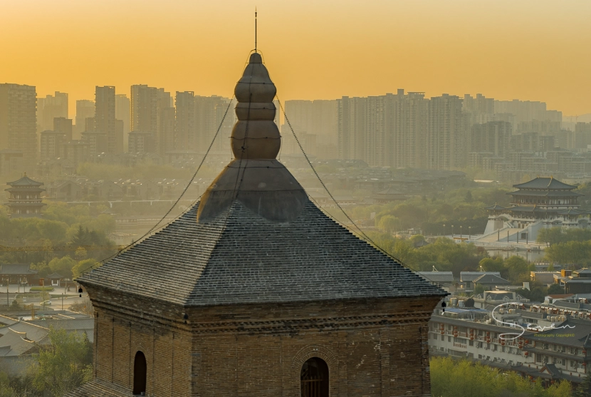 大塔山日出攻略：阿里山秘境晨光交通與觀賞點