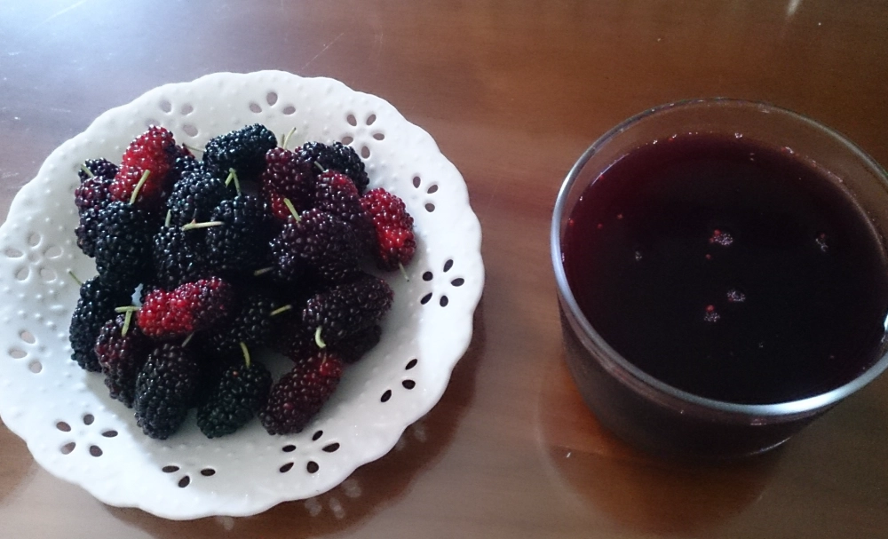 桑椹汁飲用時間