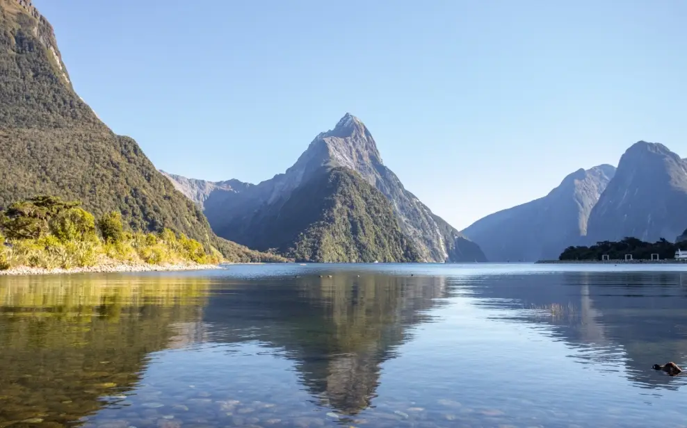 紐西蘭團體行程