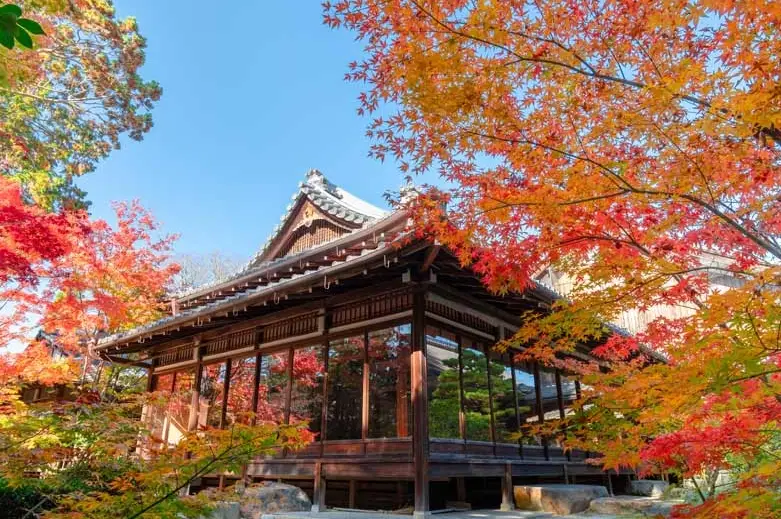 京都賞楓景點