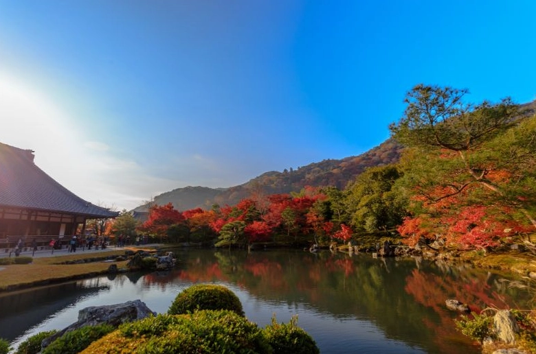 京都賞楓時間