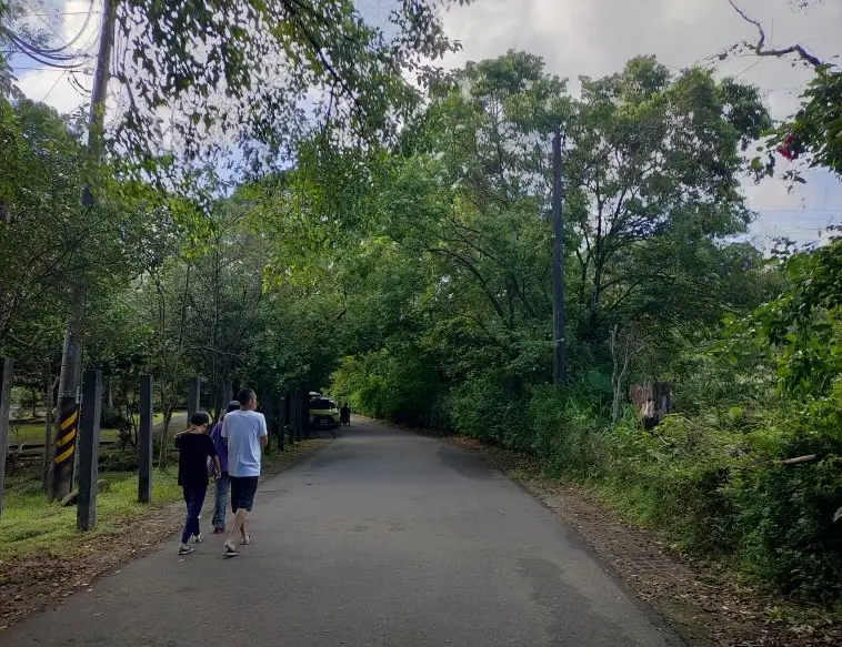 基隆山縱走路線解析：避開人潮的私房景點與安全提醒