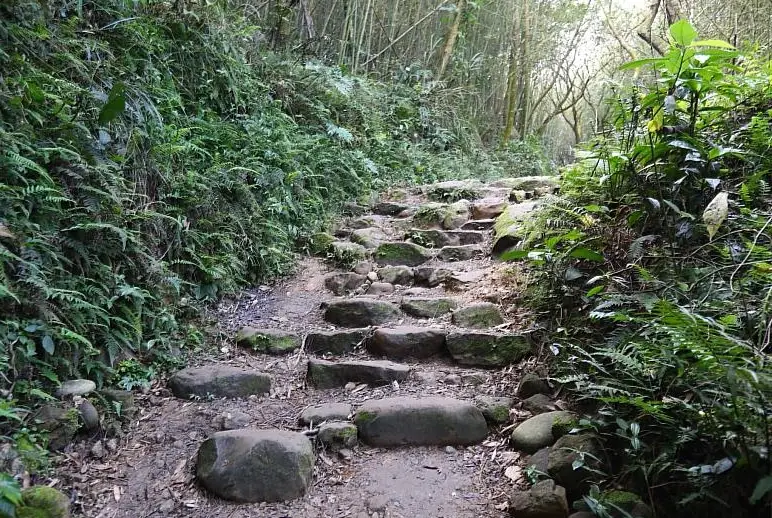 九龍山大凍山雞籠山連走：挑戰一日三峰的路線規劃與必看景點