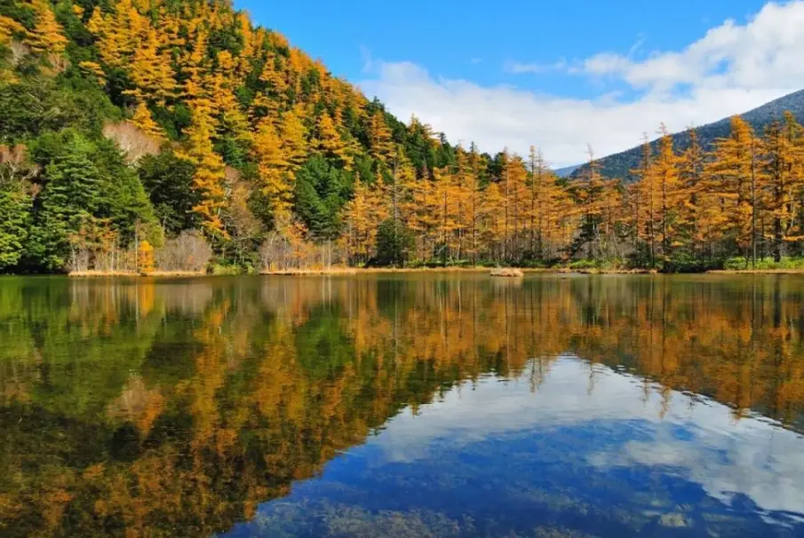 日本阿爾卑斯路線