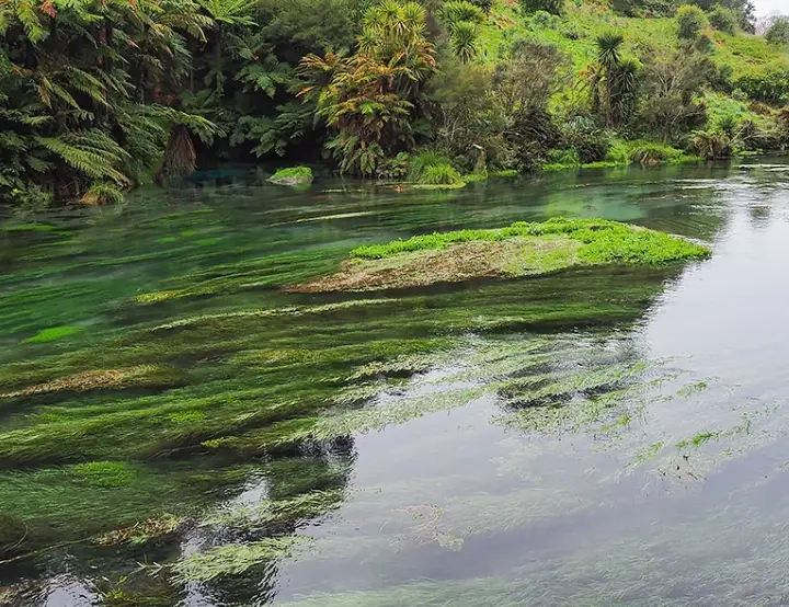 紐西蘭秘境探險：隱藏景點與實用指南