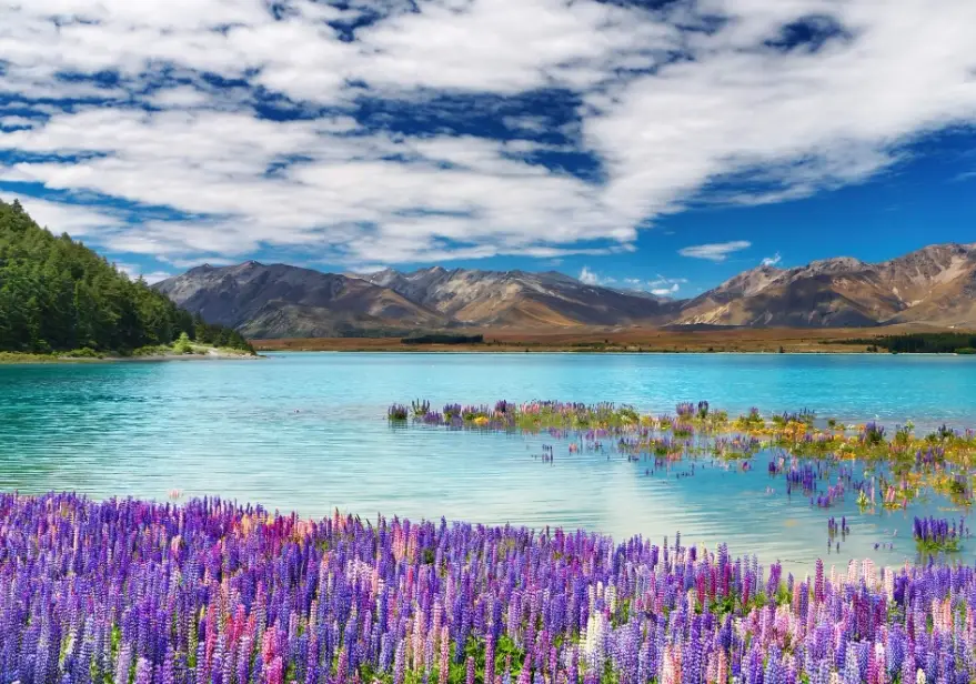 紐西蘭冬季旅遊