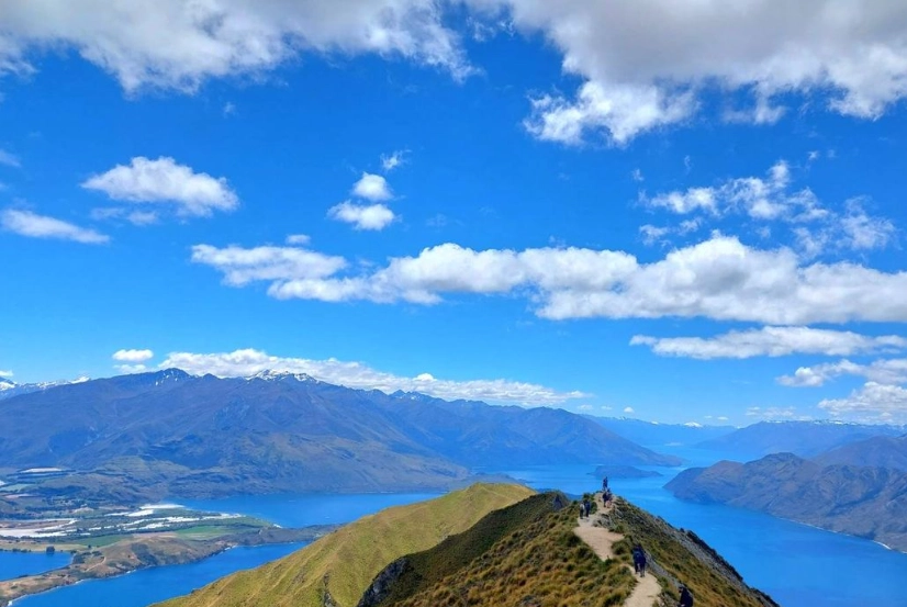 紐西蘭南島北島比較