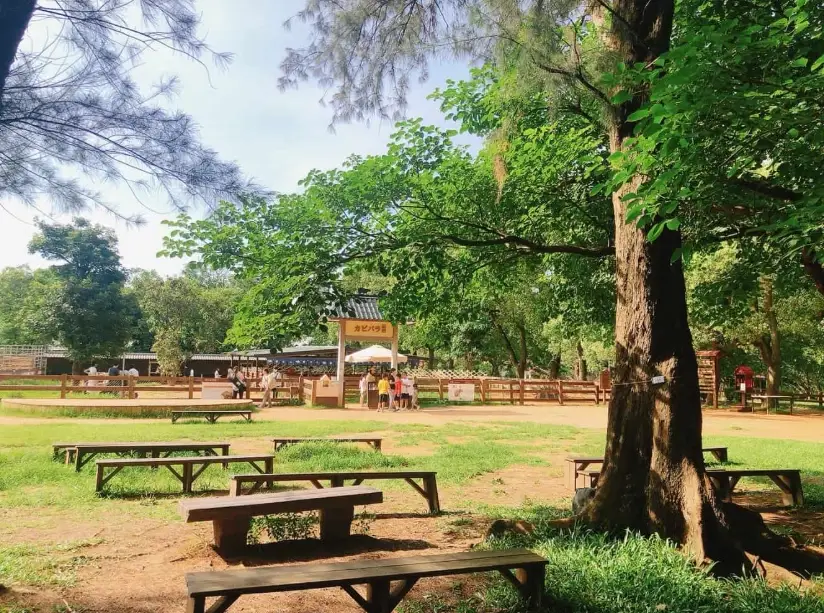 桃園親子農場推薦：精選三大放電景點與安心行程規劃