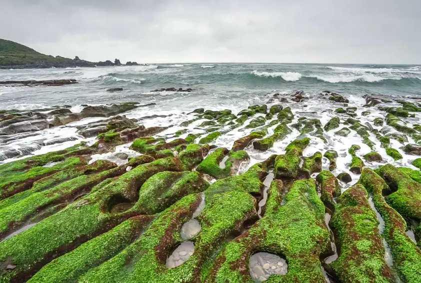 北部開車半日遊