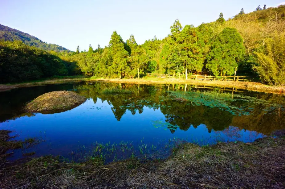 北部開車半日遊