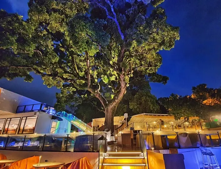 台北景觀咖啡廳精選：坐擁城市天際線與山景的放鬆去處