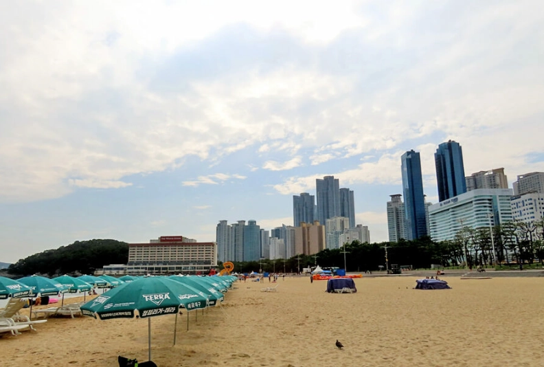 釜山第一天行程規劃：海雲台到甘川文化村實用路線