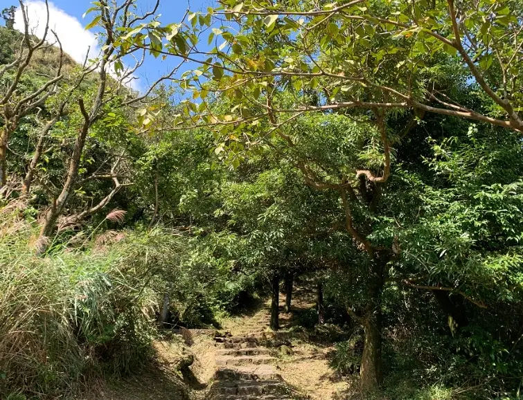 阳明山亲子步道