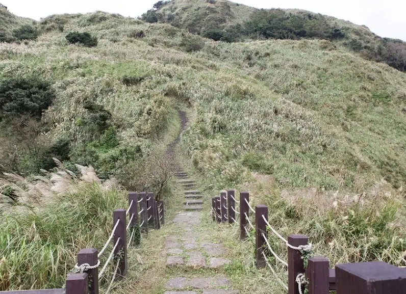 阳明山步道 亲子