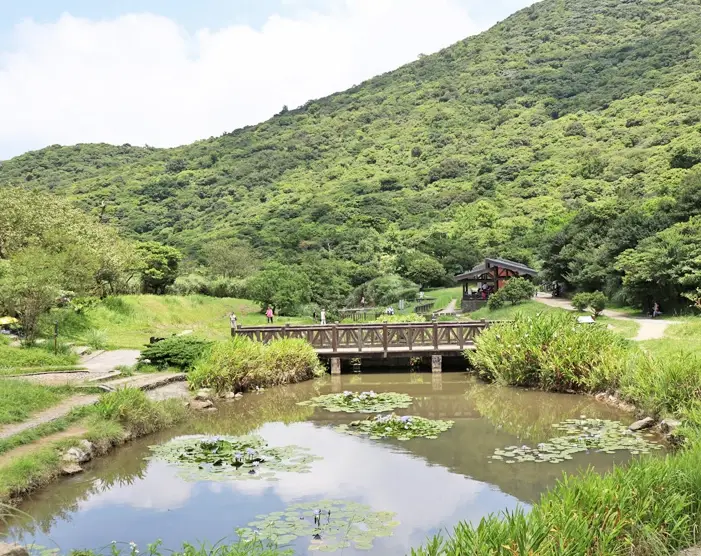 阳明山步道 亲子