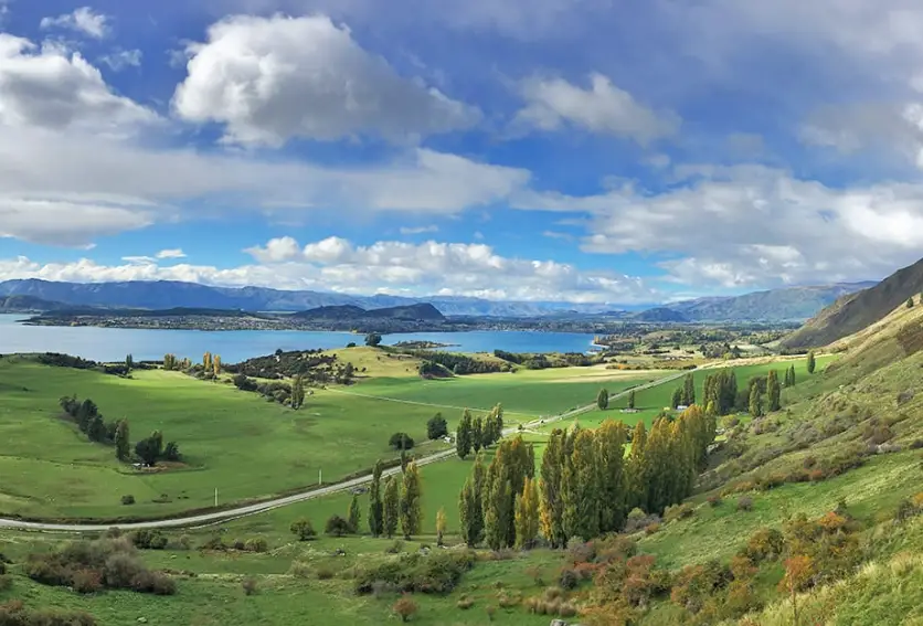 瓦納卡 路邊停車