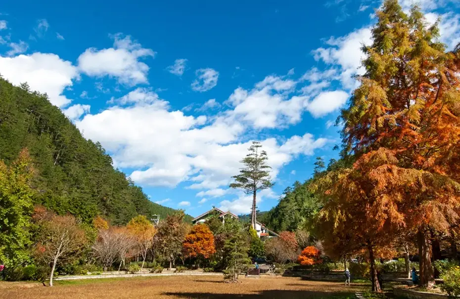 台中縣好玩嗎？在地人帶你探索合併前的懷舊景點與自然風光
