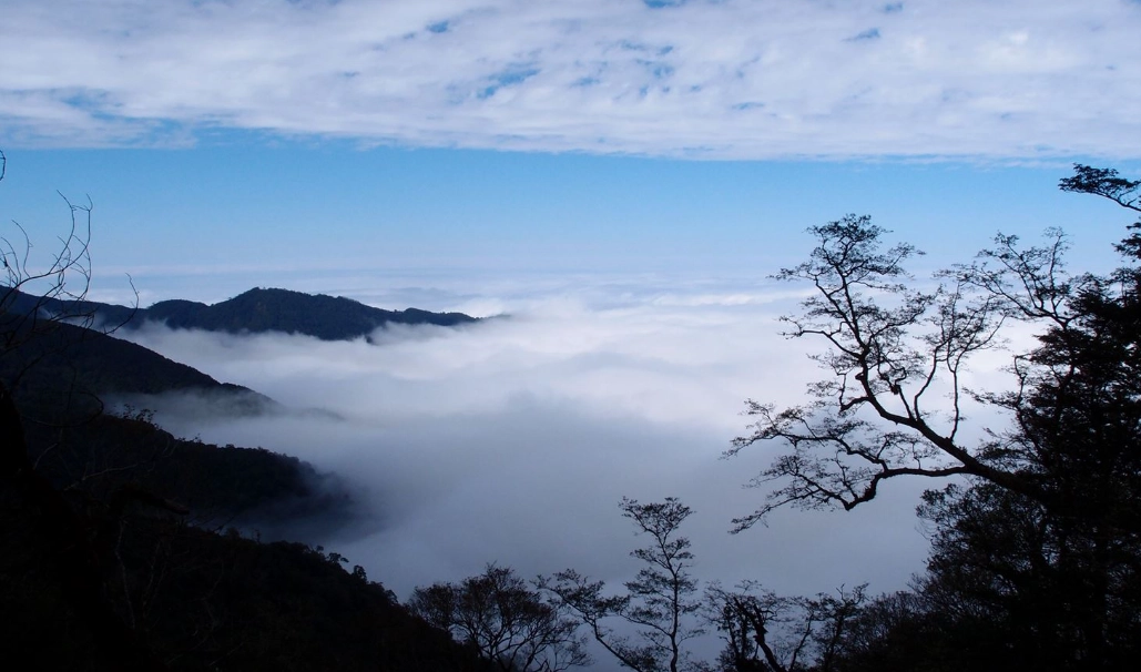 觀霧當天來回行程規劃：景點、交通與時間全攻略