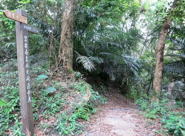 台北親山步道