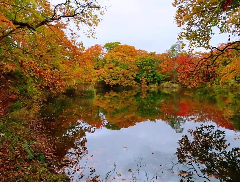 北海道自由行規劃