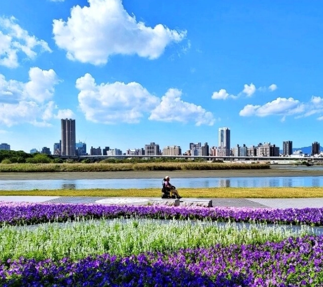 大稻埕晚上散步攻略：碼頭夕陽、老街夜巡與深夜食堂