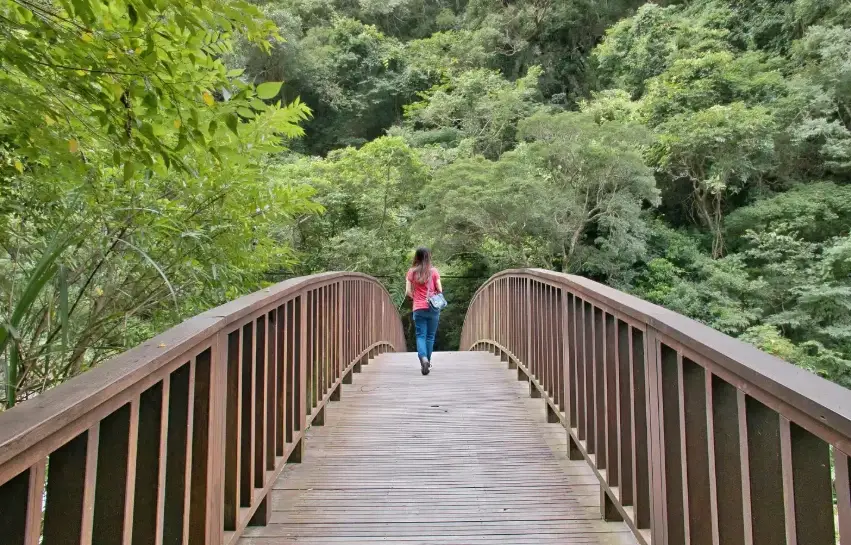 老鷹溪步道美食指南：健行後必吃餐廳與在地小吃推薦