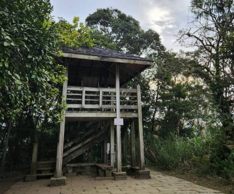 台南大凍山三角點｜登頂台南最高峰，步道路線與必看重點