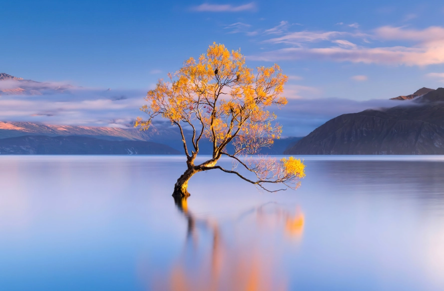 瓦納卡觀光景點：必訪景點與實用旅行指南