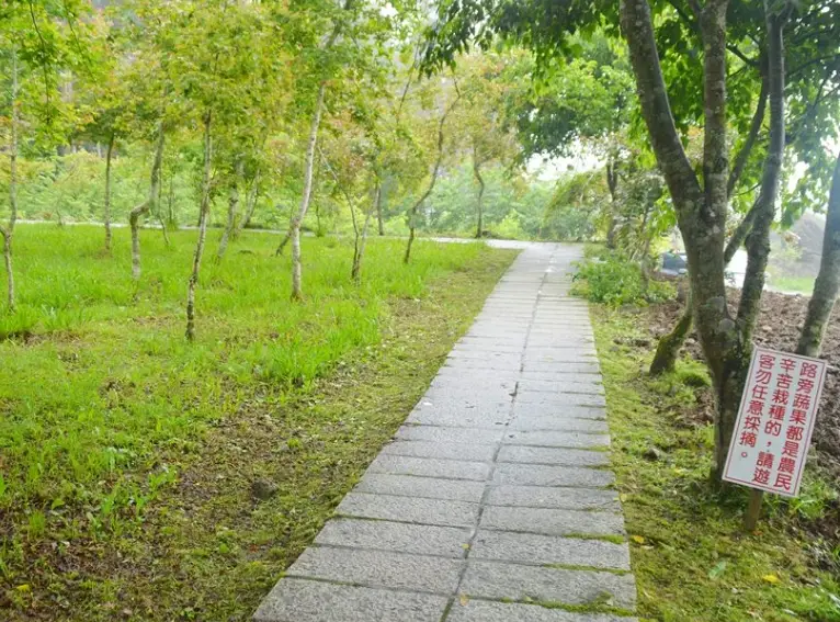 嘉義大凍山步道