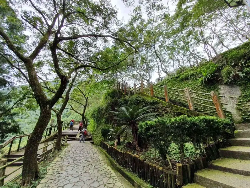 溪頭附近景點怎麼玩？在地人帶路，避開人潮的私房路線