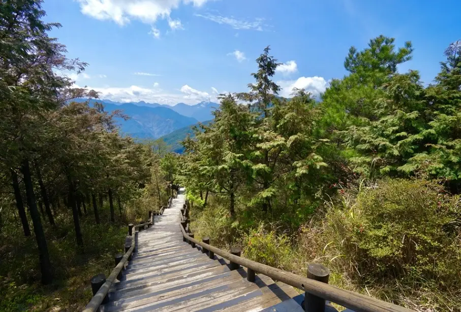 觀霧山莊接駁車