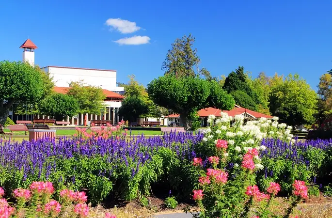 兒童溜溜車 推薦