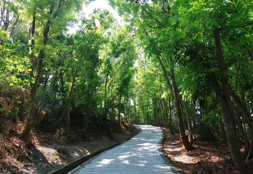 嘉義一日遊景點