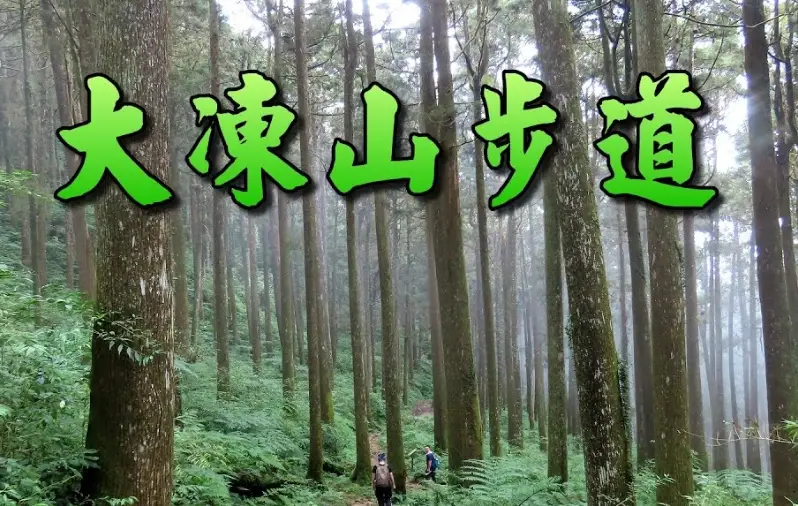 嘉義大凍山步道怎麼走？登山口、路線難度與必看日出雲海攻略