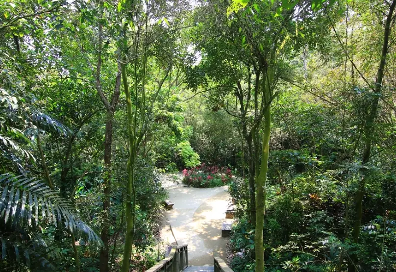 嘉義私房景點探索：避開人潮的在地秘境指南