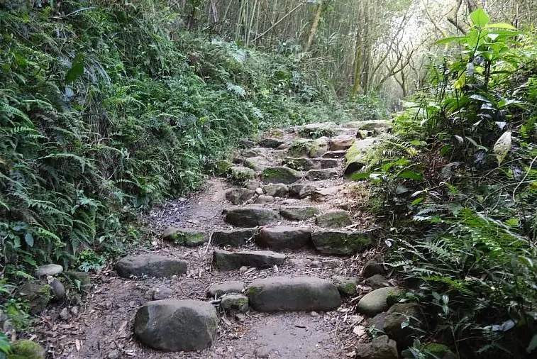 關子嶺大凍山登山步道｜台南最高峰小百岳登山路線與必看日出攻略