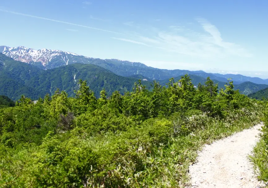 白山國立公園登山攻略：避開人潮的私房景點與交通提醒