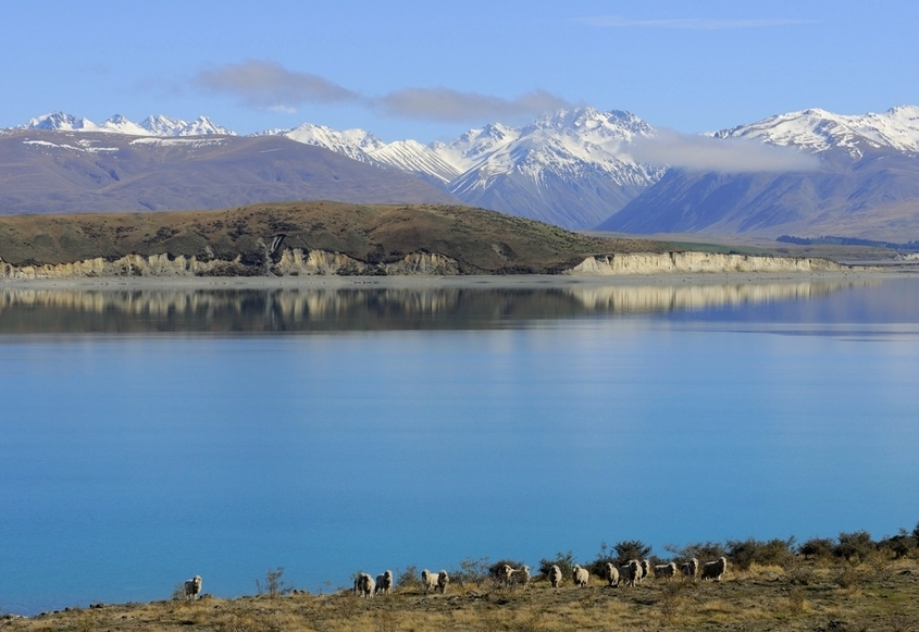 紐西蘭自助旅行費用