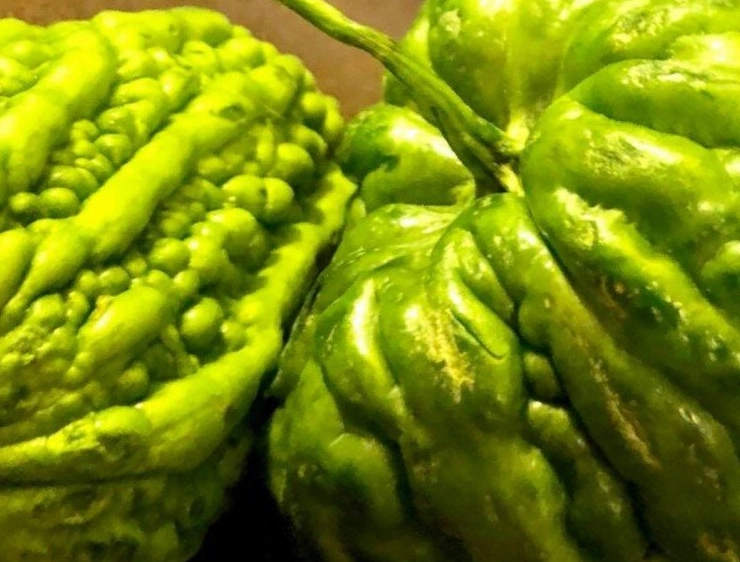 苦瓜怎麼煮才不苦