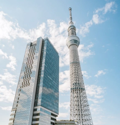 奧克蘭市區一日遊行程規劃：精選景點與交通省時秘訣