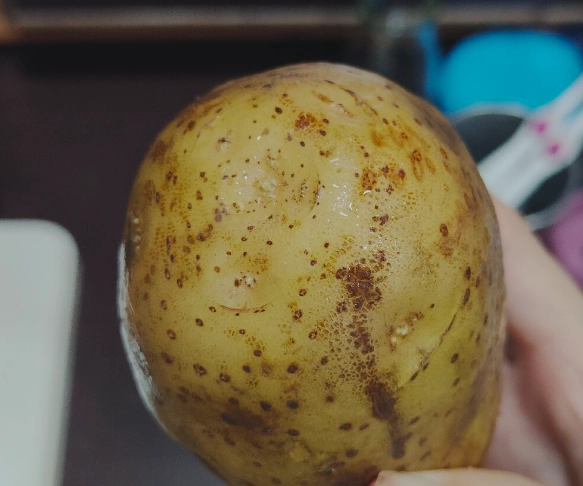 發芽馬鈴薯中毒