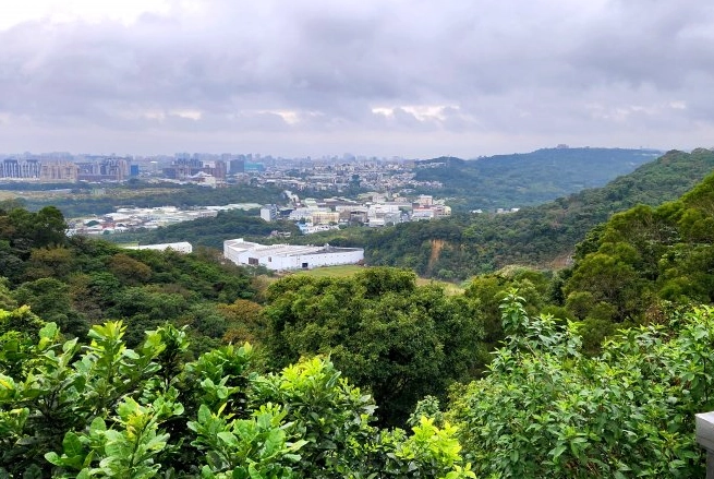 鶯歌忠義山步道攻略：新手也能駕馭的360度絕景森林浴場