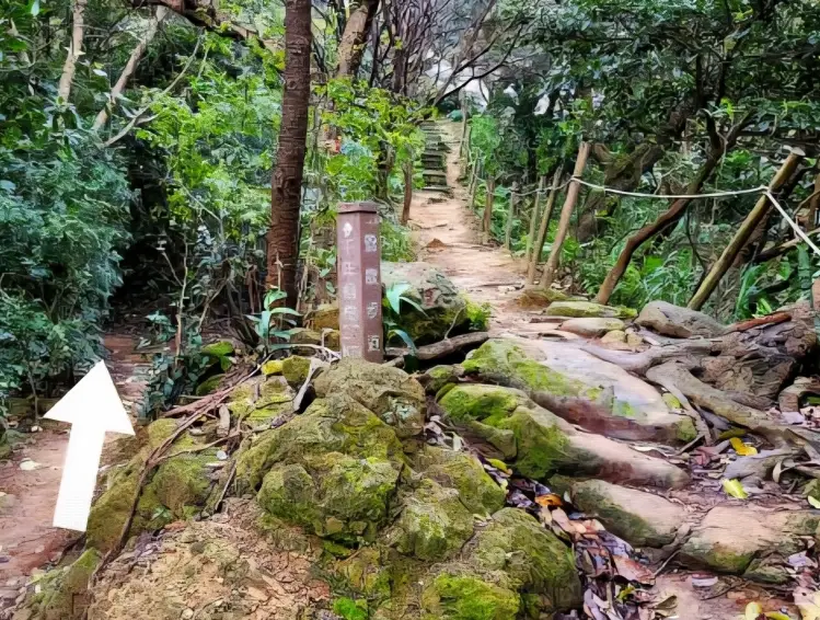 鶯歌登山步道
