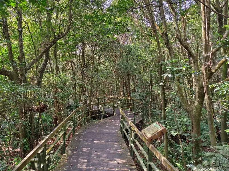 台北公車登山
